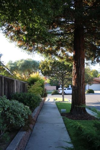 3060 Beckley Dr, San Jose, CA 95135-1005