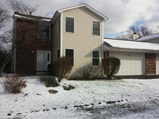 1388 Rennet Dr, Naperville, IL 60565-1212