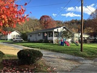 316 Smith St, Erwin, TN 37650-2029