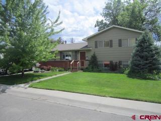 102 Vista View Dr, Montrose, CO 81401-5813