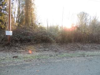 7601 Center Ct, Concrete, WA 98237-7716