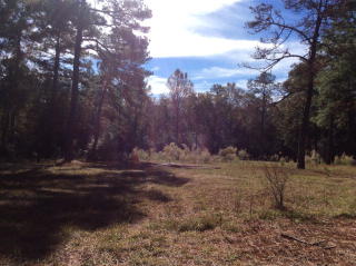 196 Pine Park Rd, Cairo GA  39828-5914 exterior