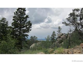 27 Concord Dr, Fairplay, CO 80456-9754