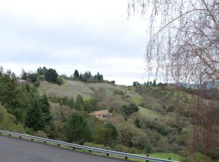 3933 Quail Ridge Rd, Lafayette, CA 94549-2913