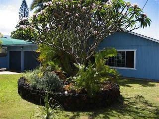162 Kupuna St, Wailea, HI 96753-7903