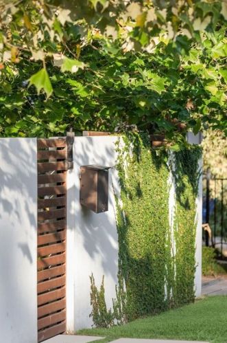 2404 Bowman Ave, Austin TX  78703-2312 exterior