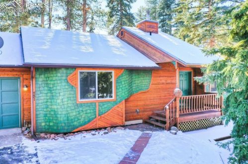 251 Gunnison Ave, Woodland Park CO 80863-1362 exterior