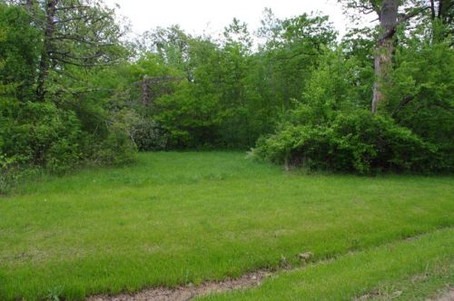 23911 Kings Rd, Crete, IL 60417-9663