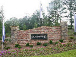 1017 Silver Thorne Dr, Loganville, GA 30052-9289