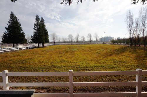 30999 Grooms Rd, Valley Home CA 95361-7513 exterior