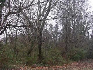371 Roselane St, Marietta, GA 30060-1014