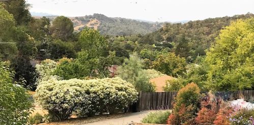 233 Johnstone Dr, San Rafael, CA 94903-1415