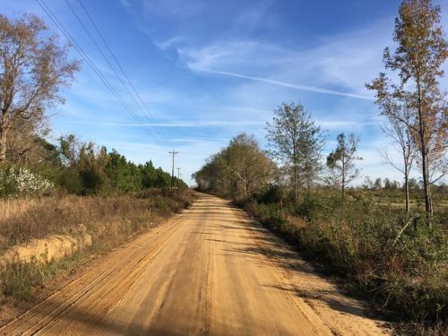 12 Pleasant Grove Church Rd, Wrightsville, GA 31096-3718