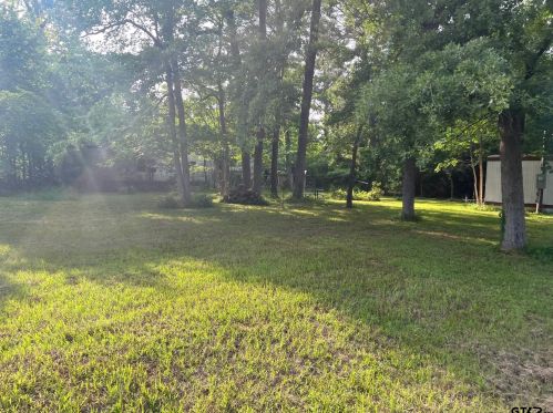 22049 Driftwood Dr, Fincastle, TX 75763-3337