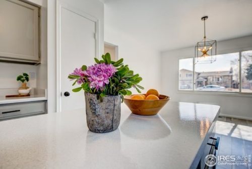1171 Hemlock Dr, Fort Collins CO  80550-5708 exterior