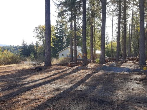 29290 Ridge View Rd, Michigan Bluff, CA 95631-9739