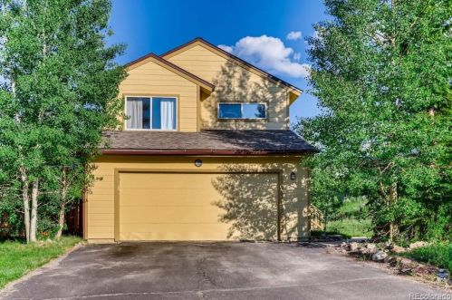275 Meadow Wood Cir, Montezuma, CO 80435-8477