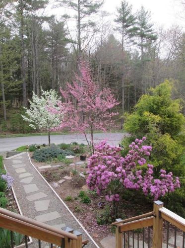 72 Case Rd, Nottingham, NH