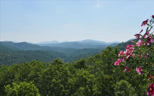 105 Fox Trot Ln, Suches, GA 30572-1120