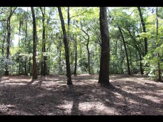 136 Mount Pelia Rd, Bluffton, SC 29910-8351