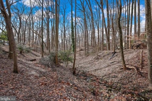 900 Balmoral Dr, Silver Spring MD  20903-1301 exterior