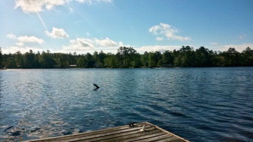 1120 Bayview Dr, Foreston, SC 29102-7714