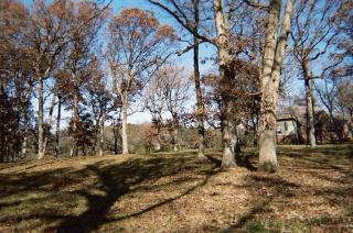 3687 2619th Rd, Norway, IL 60551-9492