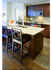 8710 Cameron St, Silver Spring MD  20910-3702 exterior