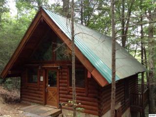 3034 Brothers Way, Pigeon Forge, TN 37862-7865