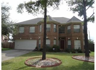 14931 Little Leaf Ct, Houston, TX 77082-3117