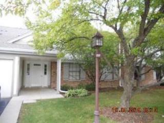 217 Oak Knoll Ct, Schaumburg IL  60193-2016 exterior
