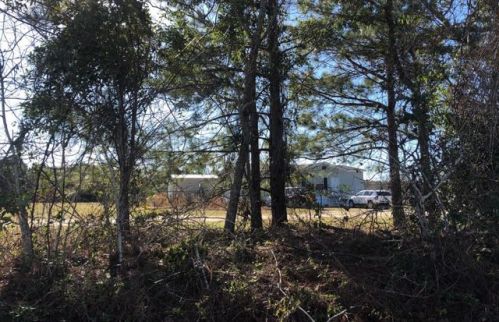 265 Nobles Rd, Chester, GA 31012-2456