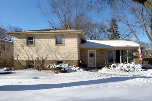 1332 Peartree Ln, Mount Prospect, IL 60056-1828