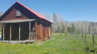 57565 County Road 62, Clark, CO