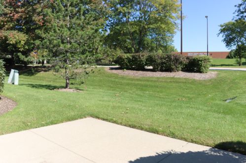 251 Manor Dr, Buffalo Grove IL  60089-2412 exterior