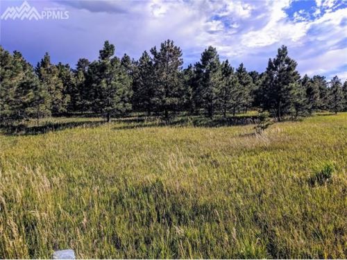 18310 Steeplechase Dr, Amo, CO 80831-9312
