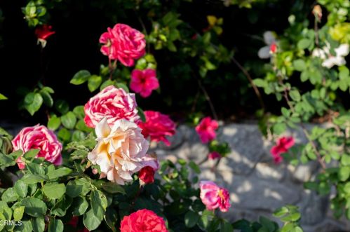 5028 Ramsdell Ave, Glendale CA 91214-1962 exterior