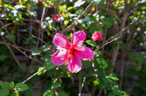 4217 Boston Ave, Glendale CA  91214-2411 exterior