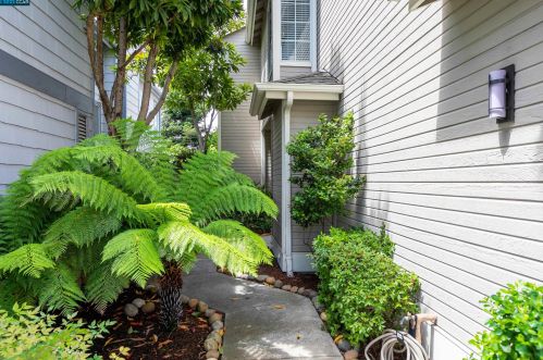 419 Orchard View Ave, Pacheco, CA 94553-3553