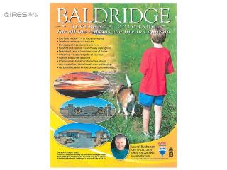 1234 Baldridge Dr, Eaton, CO 80615