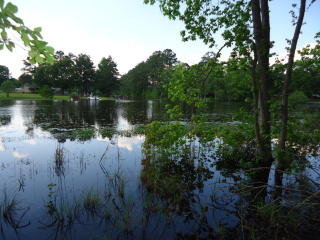 1244 Kimbeth Ln, St Paul, SC 29148-8739