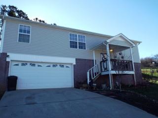 113 Benjamin Pl, Benton, TN 37307-3049