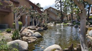 100 Orange Blossom, Irvine CA  92618-4425 exterior