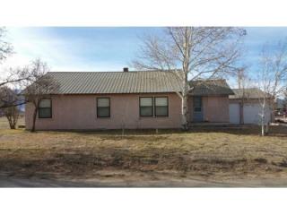 631 Ohio St, Horn Creek, CO 81252