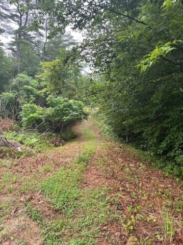 9 Alder Rd, Naples, ME 04055-5244