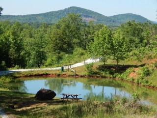 3161 Lambsburg Rd, Lambsburg, VA 24351-3160