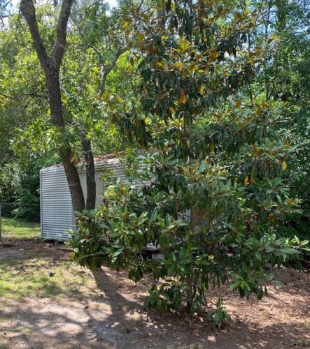 606 Ridgefield Dr, North Augusta, SC 29841-2549
