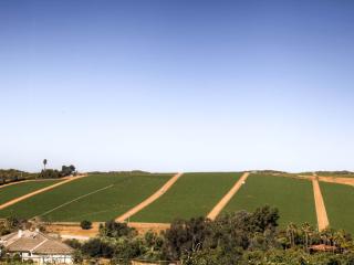 31505 Via Puerta Del Sol, Bonsall, CA 92003-5003