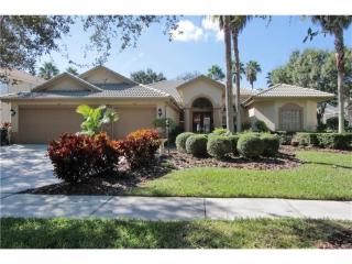 10211 Garden Alcove Dr, Tampa, FL 33647-3134