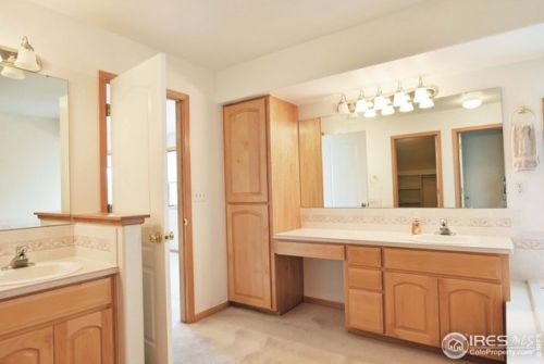 1708 Globe Ct, Fort Collins CO  80528-6393 exterior